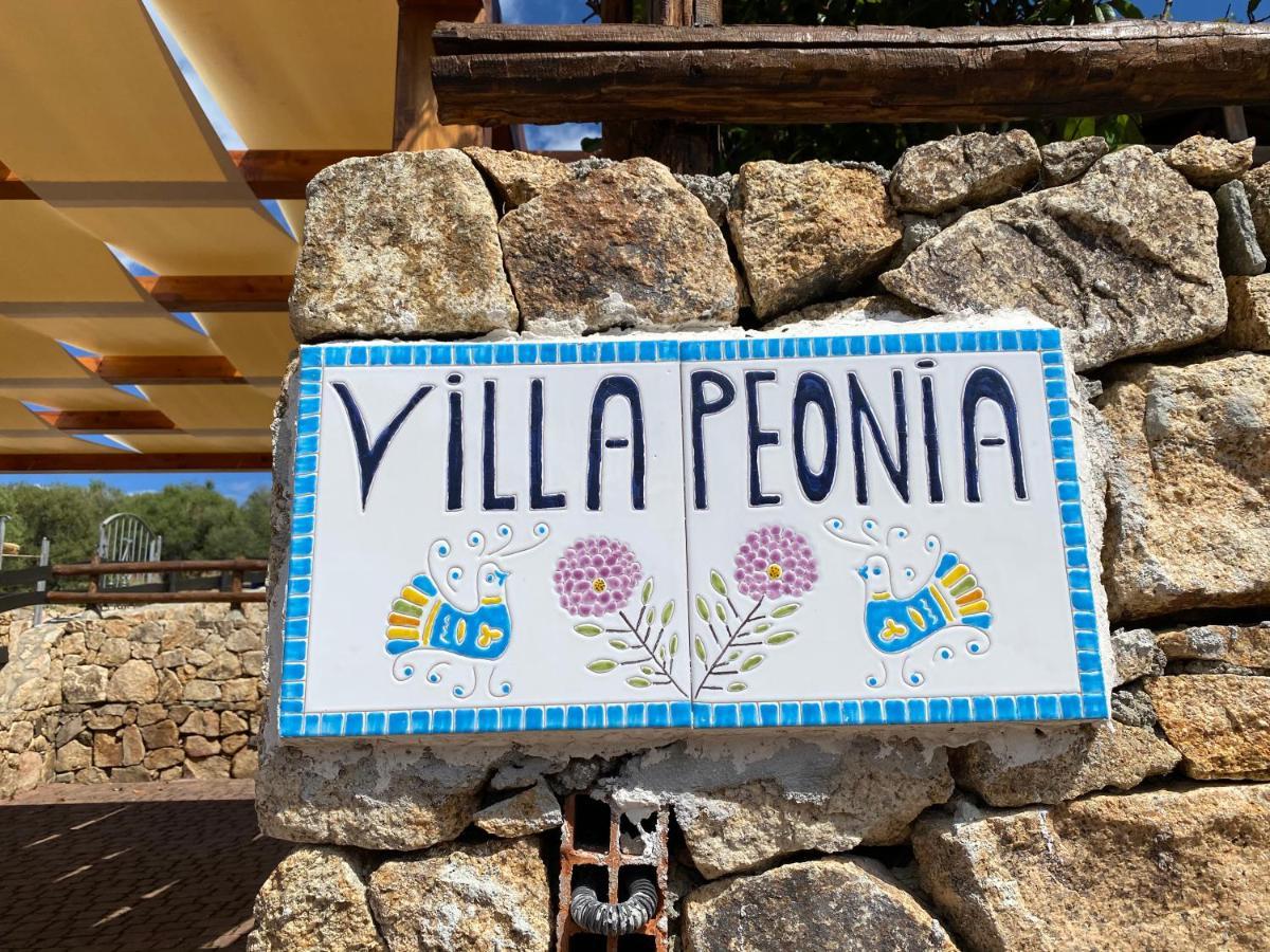 Villa Peonia Budoni Kültér fotó